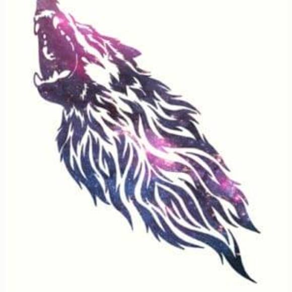 Meet your Posher, Seth - Picture 1 of 1